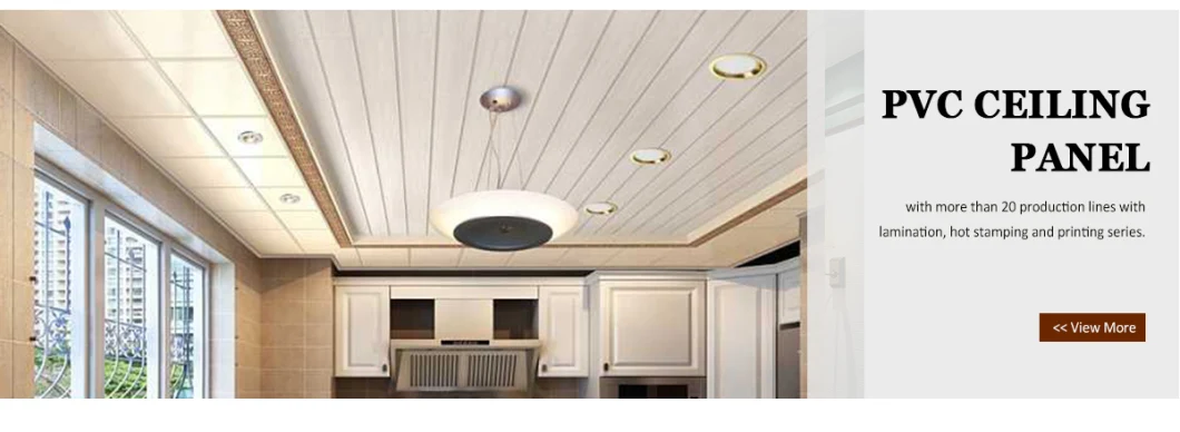 Designer Plastic Variable Corrugated Large Scale PVC Ceiling Panels From China Supplier